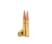 Classic Match   300 Blackout   147GR FMJ