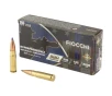 Fiocchi Hypr Sbr 300blk 125gr 20 200