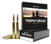 Nosler Trophy Grade  243 Winchester 90 Grain Centerfire Rifle Ammo