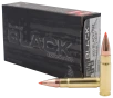 Hornady BLACK  300 AAC Blackout 110 Grain Centerfire Rifle Ammo