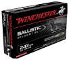 Winchester Ballistic Silvertip  243 Winchester 55 Grain Centerfire Rifle Ammo
