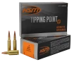 HSM Tipping Point 6mm ARC 95 Grain SST Rifle Ammo