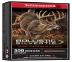 Winchester Ballistic Silvertip  300 Winchester Magnum 180 Grain Centerfire Rifle Ammo