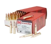 Hornady Training  223 Rem 55 Grain FMJ Centerfire Rifle Ammo