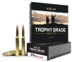 Nosler 60056 Trophy Grade  308 Win 150 gr AccuBond 20 Bx  10 Cs
