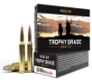 Nosler 60063 Trophy Grade  300 WSM 180 gr AccuBond 20 Box
