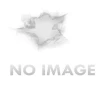 RIO STT24LT8 12 2 75 7 8OZ TEAM TRAINING  8 SHOTGUN AMMUNITION 25 RD BOX