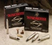 Winchester Ammo SBST2506A Ballistic Silvertip  25-06 Rem 85 gr Polymer Tip 20 Bx  10 Cs