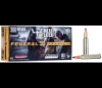 Federal P300WTC1 Premium  300 Win Mag 180 gr Trophy Copper  TC  20 Bx  10 Cs