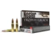 Nosler 60076 Trophy Grade  280 Ackley Improved 160 gr AccuBond 20 Bx  10 Cs