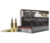 Nosler 60146 Trophy Grade Long Range 6 5 Grendel 129 gr AccuBond 20 Bx  10 Cs