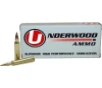 UNDERWOOD AMMO  458 HAM R 300GR  BALLISTIC TIP SPITZER