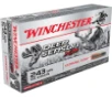 Winchester Ammo X243DS Deer Season XP  243 Win 95 gr Extreme Point 20 Bx  10 Cs
