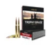 Nosler 60102 Trophy Grade 30-06 Springfield 168 Grain AccuBond Long-Range Ammo