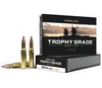 Nosler 60053 Trophy Grade  308 Win 165 Grain Partition Soft Point  SP  Ammo
