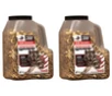Winchester WW22LRJUG Wildcat 22 LR 40 Grain Copper Plated Dynapoint Hollow Point  HP  Ammo In Jug
