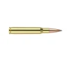 Nosler 60102 Trophy Grade Nosler Spitzer AccuBond Long Range 168 Grain  30-06 Springfield 2800 fps