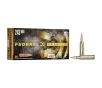 Federal P243K Premium Barnes TSX 85 Grain  243 Winchester 3200 fps