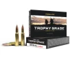 Nosler 60049 Trophy Grade Nosler AccuBond 165 Grain  308 Win   7 62x51mm 2800 fps