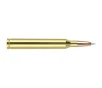 Nosler Trophy Grade Rifle Ammunition 7mm STW 160 gr  AB SP 20 rd 