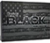 Hornady 90044 Black Hornady V-Max 38 Grain 4 6x30mm HK 