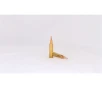 HSM Trophy Gold Rifle Ammunition 6mm Remington Berger 95 gr  20 rd 