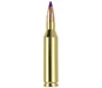 Nosler Ballistic Tip  243 Winchester 70 Gr PolyTip