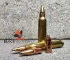 Black Butterfly Ammunition  Premium   223 Remington  55 gr   5 Rounds  Hornady JSP  Sample Pack 