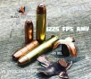 Black Butterfly Ammunition Premium  45-70 Government  500 gr  20 Rounds  Maker Expanding Copper  Big Thunder   in Berry Box