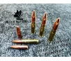Black Butterfly Ammunition Target   300 AAC Blackout  220 gr  100 Rounds  REMANUFACTURED Spire Point  THUMPER  SUBSONIC  MAG DUMP BOX 