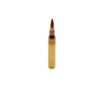 5 56 55GR MagTech FMJ-BT  MAGT556A  - 100RDS
