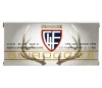 Fiocchi Extrema 300 Win Mag 180 gr Swift Scirocco II Boat-Tail Spitzer 20 Bx  10 Cs