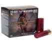 Federal Premium Bismuth Non-Toxic Shot 12 Gauge Ammo  3 25 Round Box