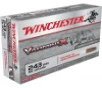 Winchester Varmint X 243Win 58gr Polymer Tip Rapid Expansion 20 Per Box 10 Case