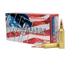 Hornady American Whitetail  243 Winchester 100 Grain Centerfire Rifle Ammo