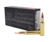 Hornady BLACK  308 Win 155 Grain Centerfire Rifle Ammo