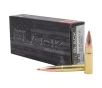 Hornady BLACK  300 AAC Blackout 208 Grain Centerfire Rifle Ammo