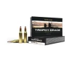 Nosler Trophy Grade  243 Winchester 100 Grain Centerfire Rifle Ammo