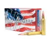 Hornady American Whitetail  25-06 Remington 117 Grain Centerfire Rifle Ammo