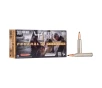 Federal Premium Trophy Copper  300 Winchester Magnum 165 Grain Centerfire Rifle Ammo