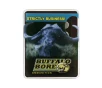 Buffalo Bore Barnes XP Lead-Free  500 S ampW Magnum 375 Grain Handgun Ammo