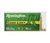 Remington Core-Lokt  30-30 Winchester 170 Grain Hollow Point Centerfire Rifle Ammo