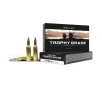 Nosler Trophy Grade  243 Winchester 85 Grain Centerfire Rifle Ammo