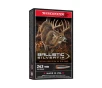Winchester Ballistic Silvertip  243 Win 95 Grain Centerfire Rifle Ammo