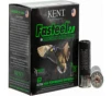 Kent Cartridge K122FS302 Fasteel 2 0 12GA 2 75  1-1 16oz  2 Shot - 25sh Box