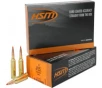 HSM Varmint 22 ARC 55gr V-Max 20rd Brass Case