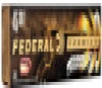 Federal Hammer Down 45 Colt - 250 Grain BHP - 1025 FPS - 20 Rounds - LG45C1