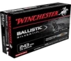 Winchester Ammo SBST243 Ballistic Silvertip  243 Win 55 gr Polymer Tip 20 Bx  10 Cs