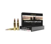 Nosler Trophy Grade 338 Win Mag 225 gr AccuBond - 60074