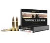Nosler Trophy Grade 338 Win Mag 250 gr AccuBond - 60086